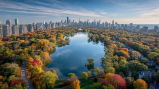 How Properly Planted Trees Help Reduce Urban Air Pollution